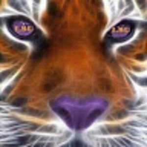 Meet your Posher, Rob